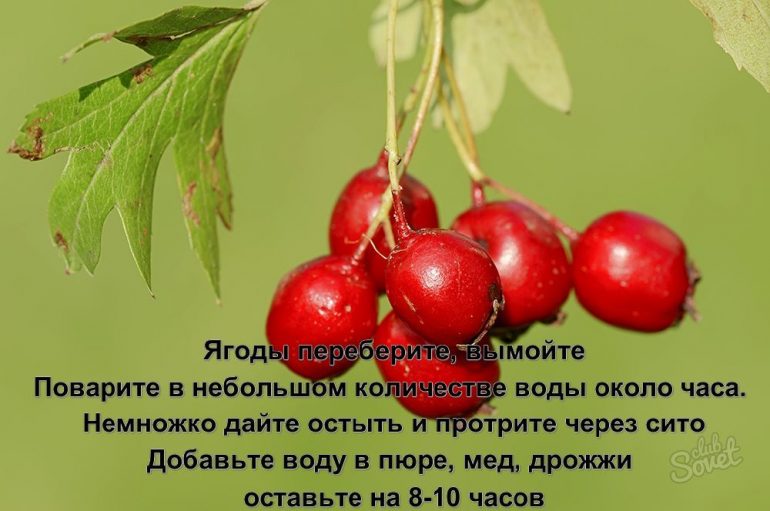 Как приготовить боярышник на зиму