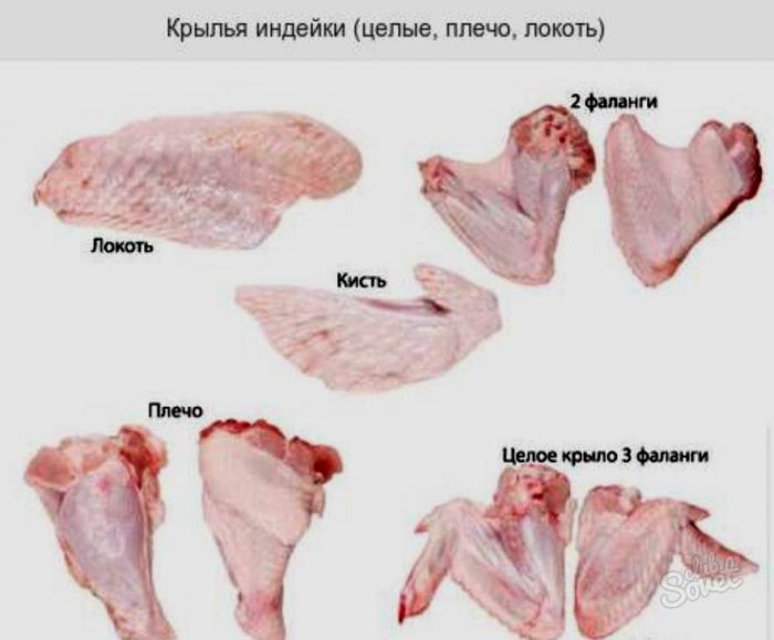 Как приготовить крылья индейки