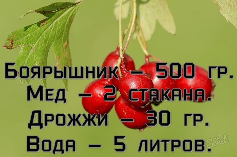 Как приготовить боярышник на зиму