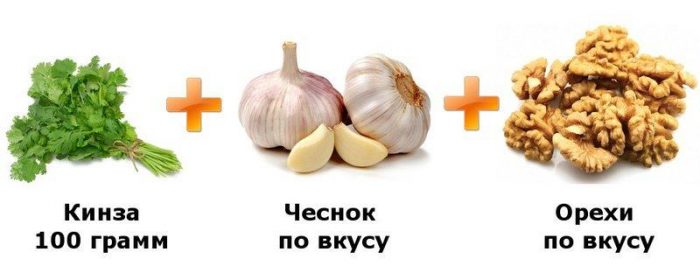 Кориандр - полезные свойства и противопоказания к использованию