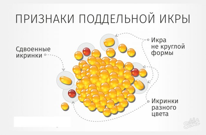 Как определить подлинность красной икры
