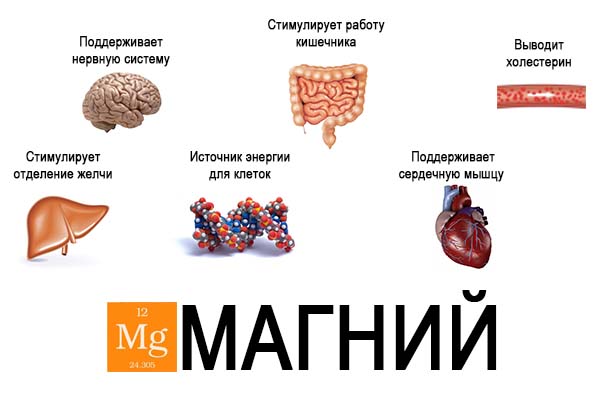 Чим корисна риба голець Чим корисна риба голець