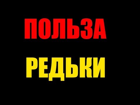 Черная редька: польза и вред продукта для мужчин, женщин и детей, показания и противопоказания к применению, использование при похудении, для волос и в кулинарии