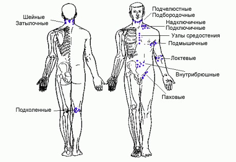 Техніка лімфодренажного масажу в домашніх умовах Техніка лімфодренажного масажу в домашніх умовах