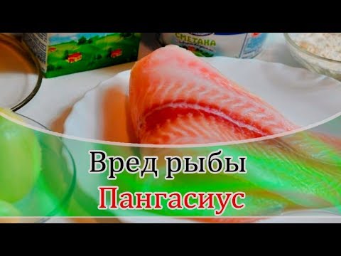 Пангасиус: полезные свойства, противопоказания, рецепты приготовления, а также почему эту рыбу считают опасной для употребления и кому ее есть не рекомендуют?