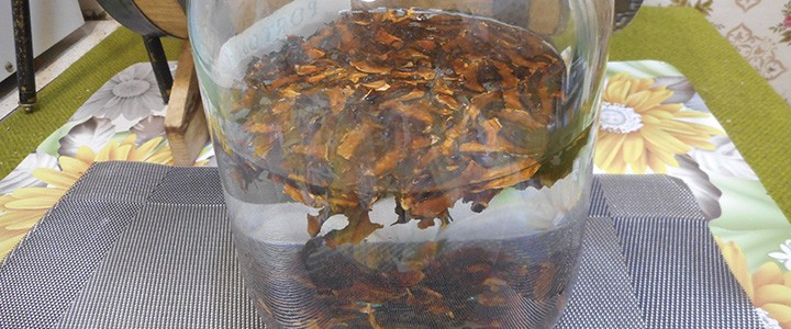 При захворюваннях ШКТ При захворюваннях ШКТ