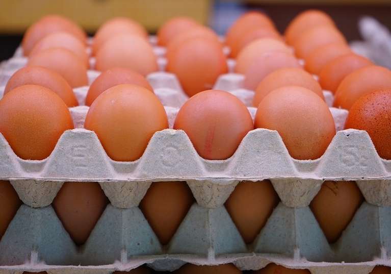 До чого сняться яйця курячі жінці?