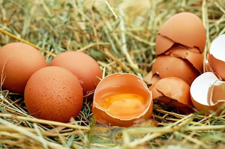 До чого сняться яйця курячі жінці?