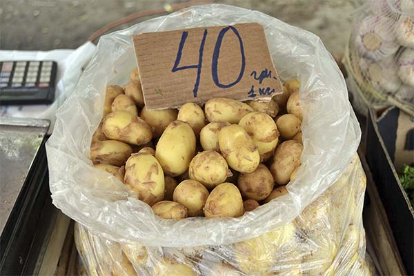 Що означає сон про покупку картоплі - 40 тлумачень з різних сонників