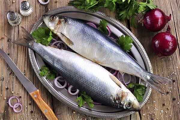 До чого сниться купувати уві сні солону рибу?