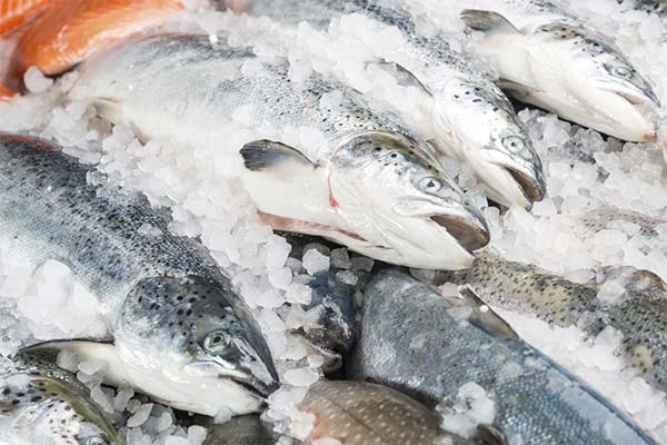 До чого сниться, купувати уві сні заморожену рибу?