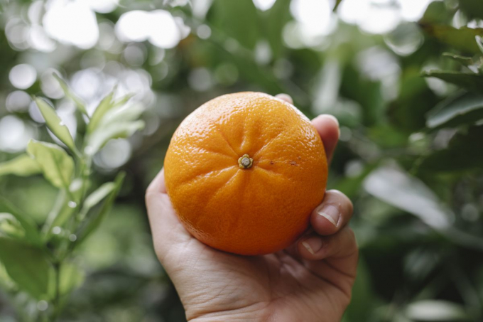 Ці кілька продуктів працюють не гірше за косметику і допомагають боротися зі зморшками