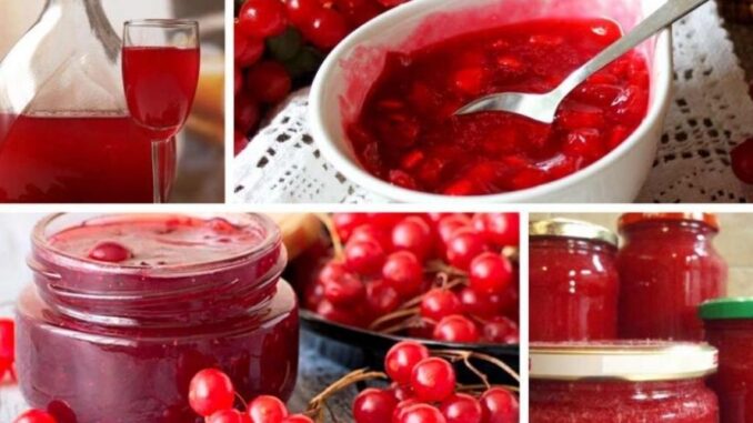 Як не хворіти всю зиму! 5 рецептів вітамінних заготовок з калини