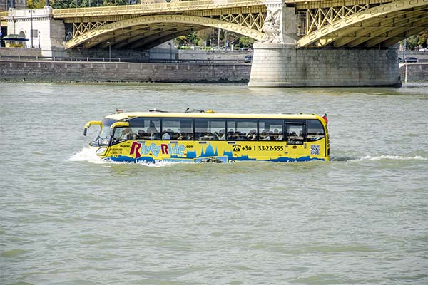 До чого сниться їхати по воді автобусом — 9 тлумачень із різних сонників