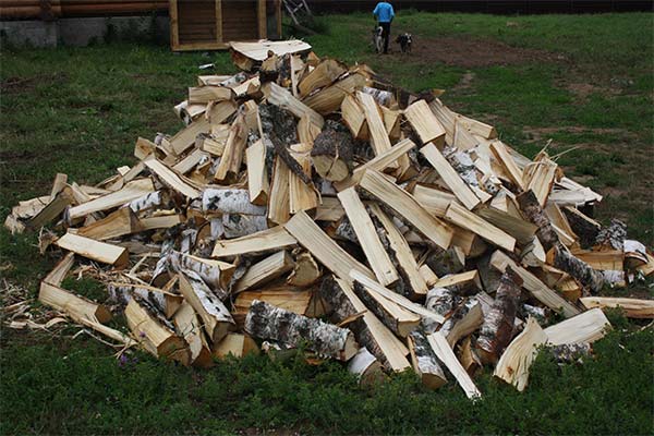 До чого сниться багато дров — 45 тлумачень із різних сонників.