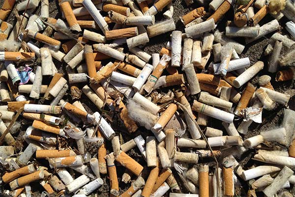 До чого сниться недопалок від сигарет — 55 тлумачень із різних сонників