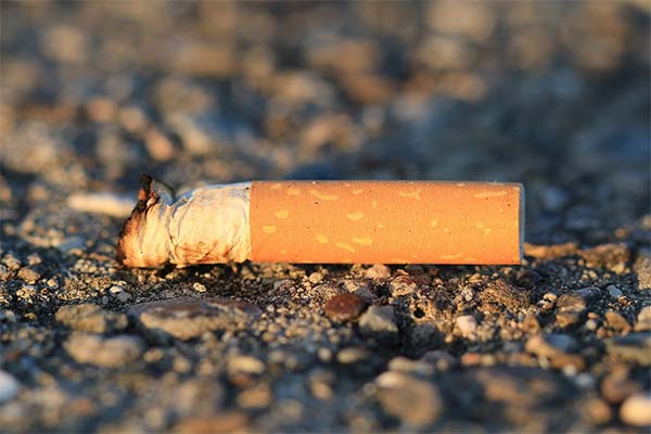 До чого сниться недопалок від сигарет — 55 тлумачень із різних сонників