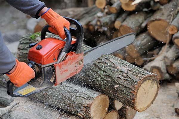 До чого сниться пиляти дрова жінці чи чоловікові — 60 тлумачень із різних сонників.