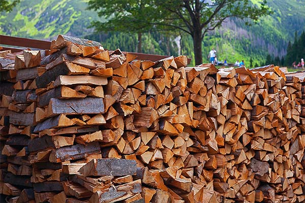До чого сняться дрова жінці чи чоловікові — 119 тлумачень із різних сонників.