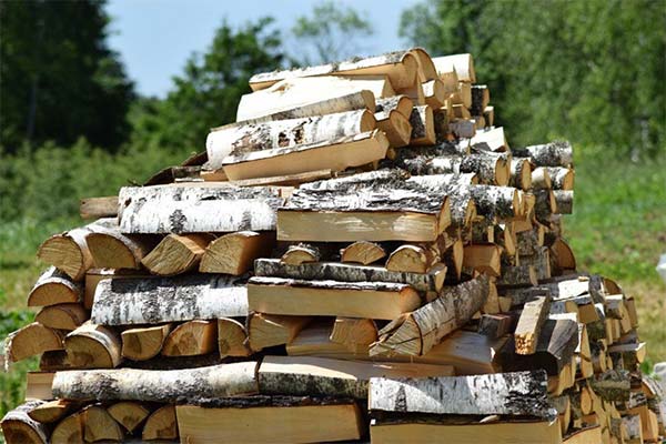 До чого сняться колоті березові дрова — 47 тлумачень із різних сонників.