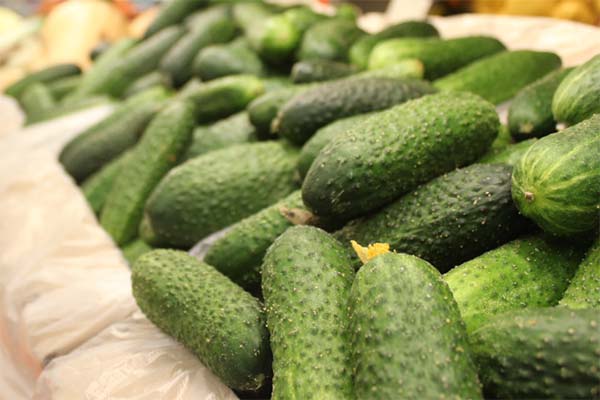 До чого сниться купувати свіжі зелені огірки - 5 тлумачень із різних сонників