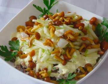 Мариновані опеньки – смачні страви