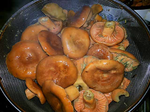 Курка з картоплею в духовці. Як смачно запекти курку з картоплею і грибами