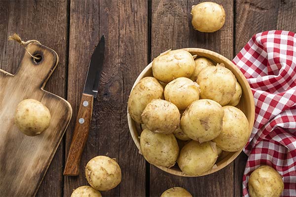 До чого сниться картопля жінці чи чоловікові — 148 тлумачень із різних сонників.