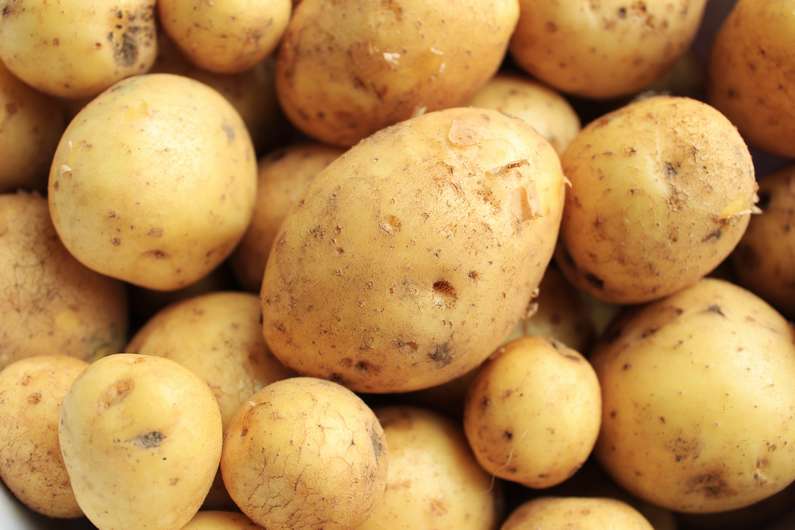 До чого сниться картопля жінці?