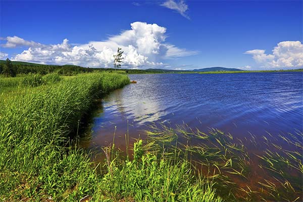 До чого сниться берег річки — 170 тлумачень із різних сонників.