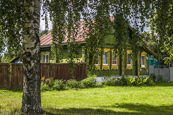 До чого сниться береза жінці чи чоловікові — 78 тлумачень із різних сонників.