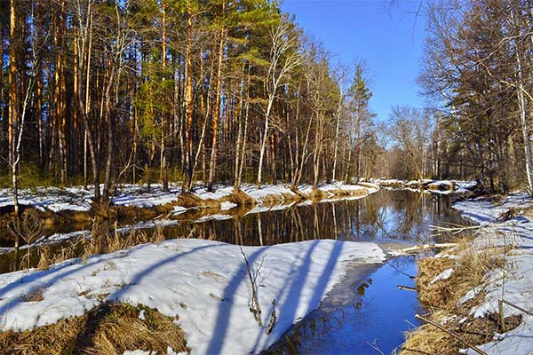 Як розшифрувати сон про весну - 36 тлумачень із різних сонників
