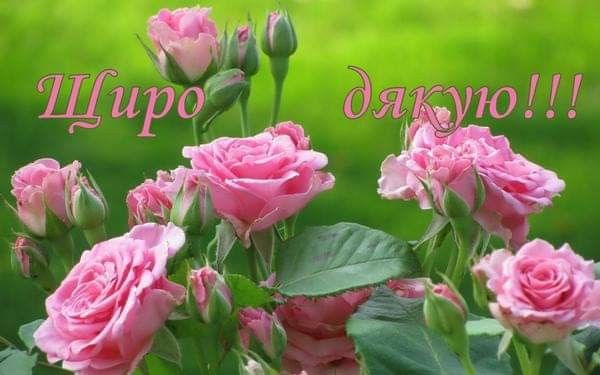 Гарні слова подяки вчителю до сліз
