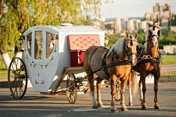 До чого сниться карета — 28 тлумачень із різних сонників.