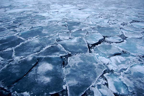 До чого сниться лід жінці чи чоловікові — 66 тлумачень із різних сонників.