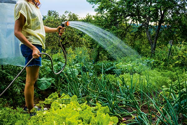 До чого сниться город жінці чи чоловікові — 89 тлумачень із різних сонників.