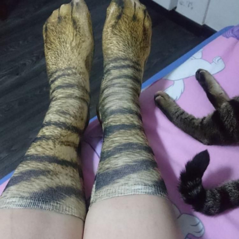 Знайомтеся, хіт сезону нинішньої зими — шкарпетки з принтами а-ля котячі лапки