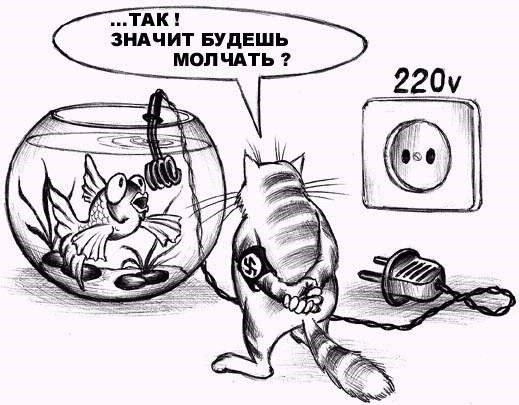 Веселі цитати
