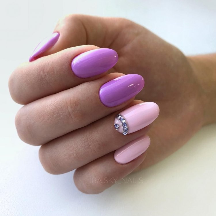 Shellac 2020-2021