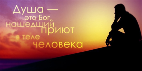 Нові цитати