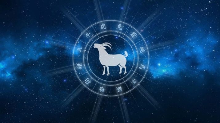 2027 – рік якої тварини і що для неї характерно?
