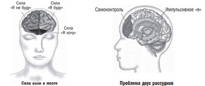 Що таке сила волі, як проявляється та як її розвинути?